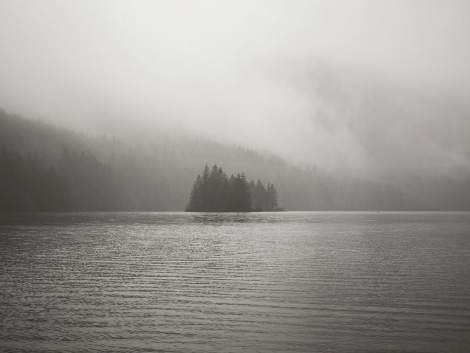 A small treed island on a flat grey lake, the forested ridge behind it dissolving into low cloud.